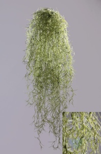 000006634_original