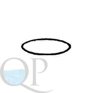 Прокладка-кольцо крышки бочки фильтра Cristall Behncke (43321808)