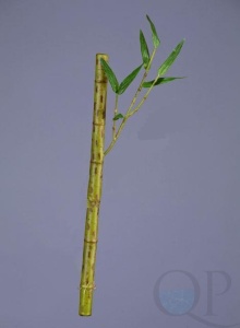 000006768_original