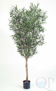 000006345_original
