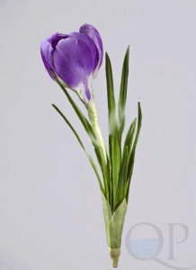 000006525_original