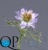 000006543_original