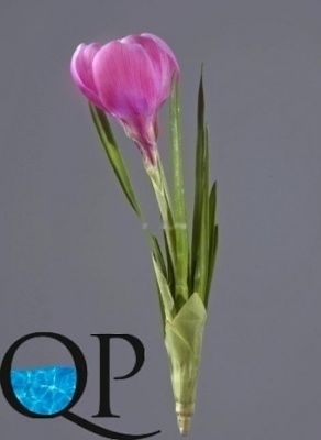 Картинка с сайта