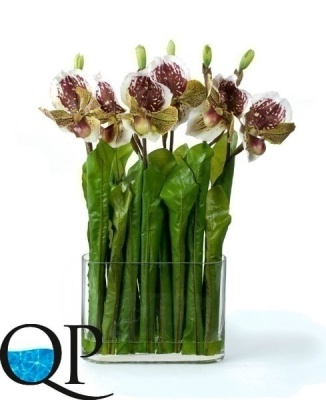 Картинка с сайта