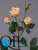 000006753_original