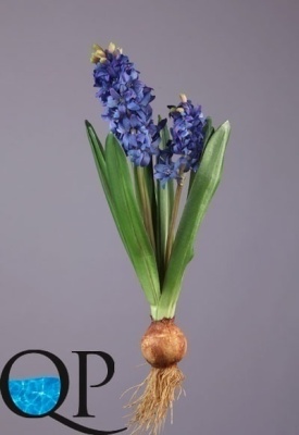 Картинка с сайта