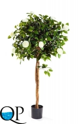 Картинка с сайта