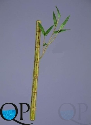 000006768_original