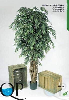 000006441_original
