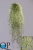 000006634_original