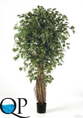 Картинка с сайта