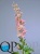 1_30b967a3-4d5f-11e7-a8b5-00e05316b922