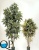 2_de4be420-77d4-11e5-b857-ec106981ec10
