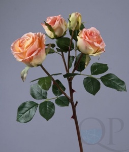 000006745_original