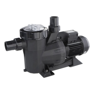 VICTORIA PLUS 1