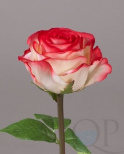 000007514_original