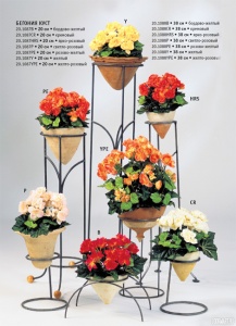 Картинка с сайта