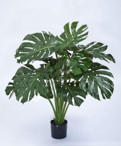 Картинка с сайта