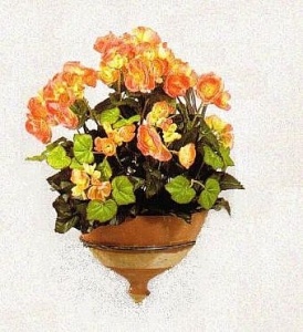 Картинка с сайта