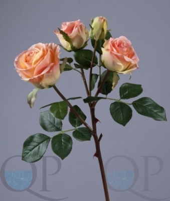 000006745_original