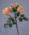 000006745_original 000006745_original