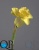 000006539_original