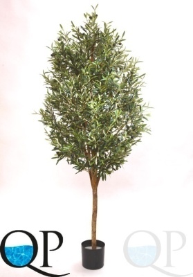000006348_original