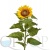 000006597_original 000006597_original