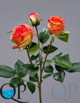 000006735_original
