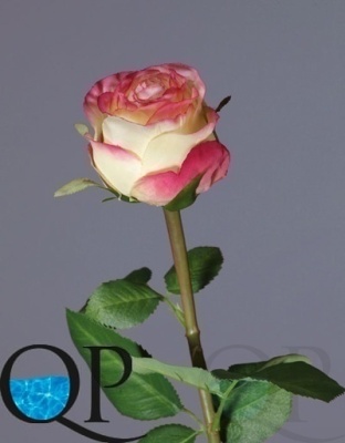 1_5048fb14-4d5f-11e7-a8b5-00e05316b922