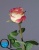 1_5048fb14-4d5f-11e7-a8b5-00e05316b922 1_5048fb14-4d5f-11e7-a8b5-00e05316b922