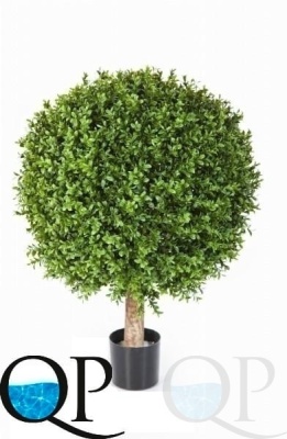 000006386_original