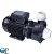 LP 15056-62 1 LP 15056-62 1
