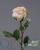 000007519_original 000007519_original