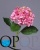000006507_original 000006507_original