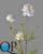 000006523_original