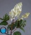 000006604_original 000006604_original