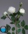 000006750_original 000006750_original