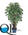 2_9beb3eff-77d4-11e5-b857-ec106981ec10 2_9beb3eff-77d4-11e5-b857-ec106981ec10