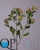 1_9667236c-8720-11e7-4596-020000cae1db 1_9667236c-8720-11e7-4596-020000cae1db