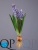 000006505_original 000006505_original