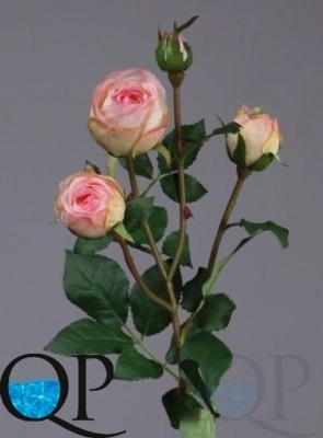 000006751_original