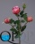 1_95f3ac8e-8720-11e7-4596-020000cae1db